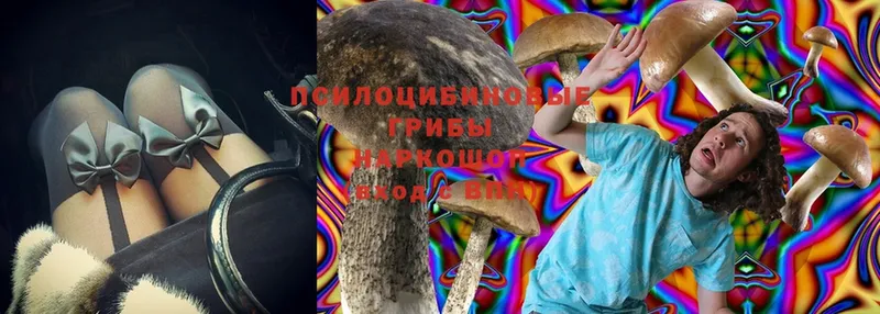 купить  цена  Инта  Галлюциногенные грибы MAGIC MUSHROOMS 